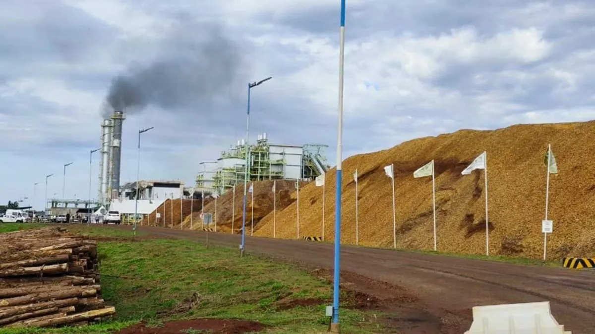 Segunda generadora eléctrica del grupo Insud