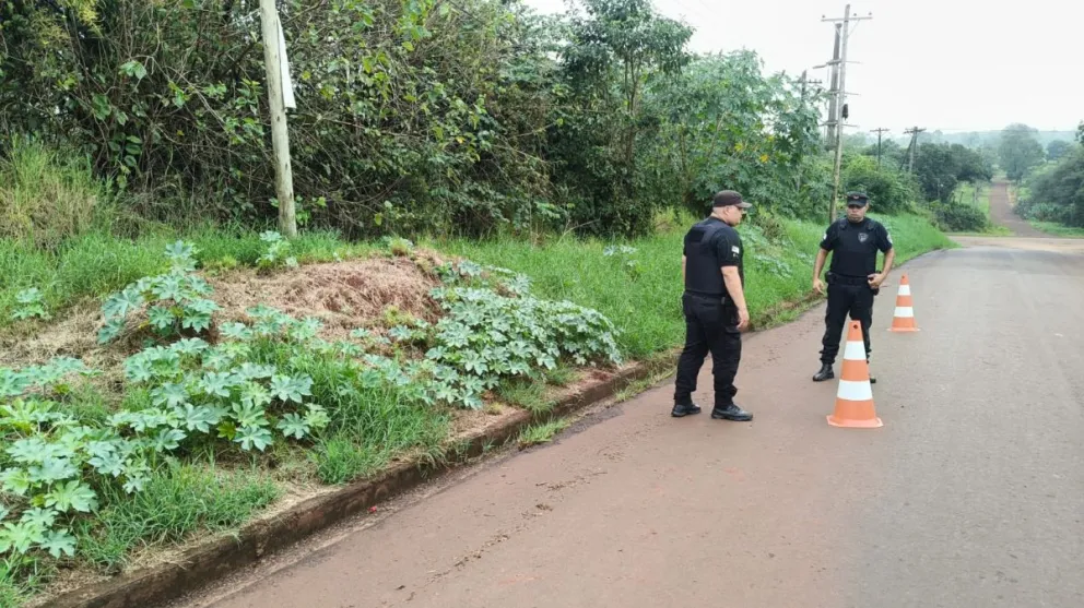 Foto: Policía de Misiones 