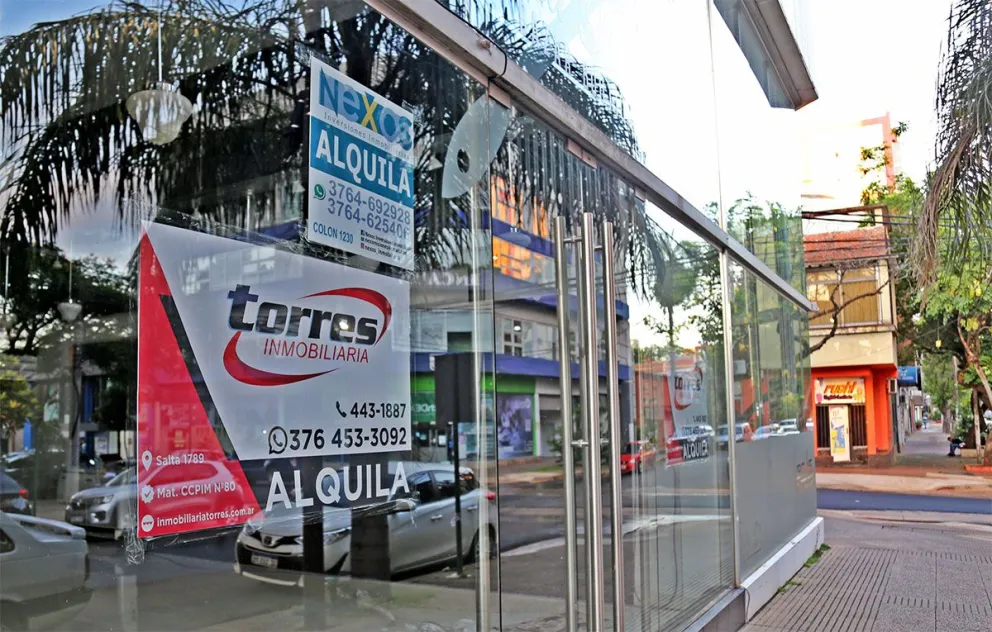 La lluvia y el precio, los problemas que afronta la producción yerbatera imagen-11
