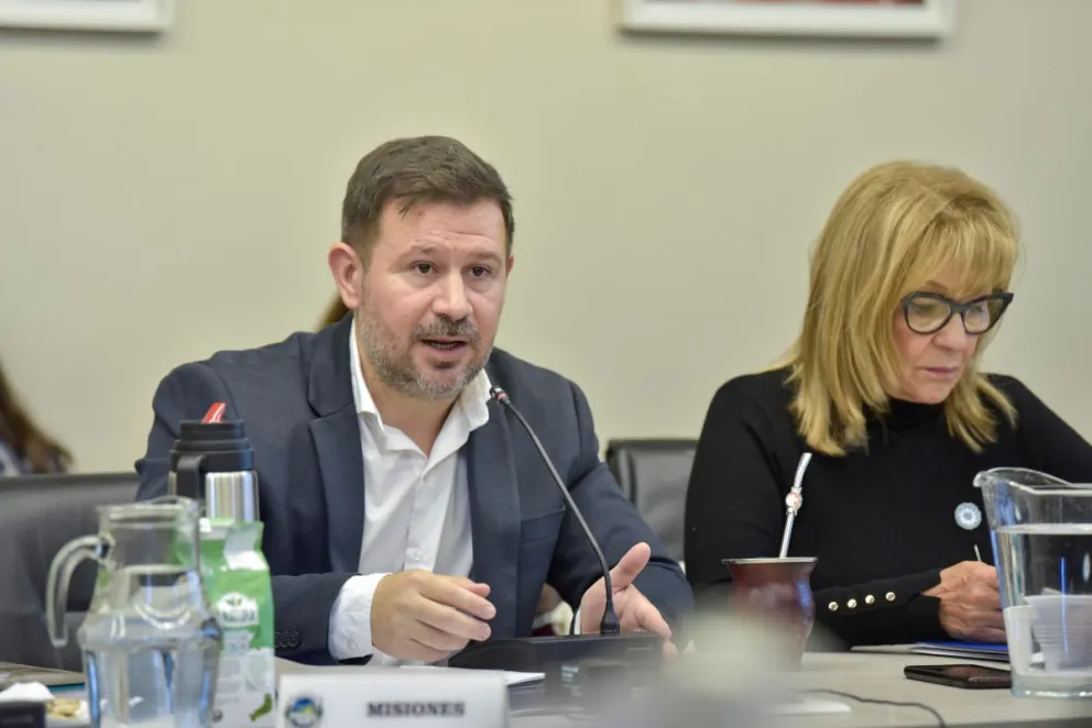 Ramiro Aranda, ministro de Educación de Misiones, exponiendo ante el CFE.
