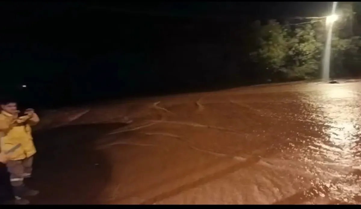Anegamiento y caída de árboles, las consecuencias del temporal en Puerto Libertad y Wanda imagen-7