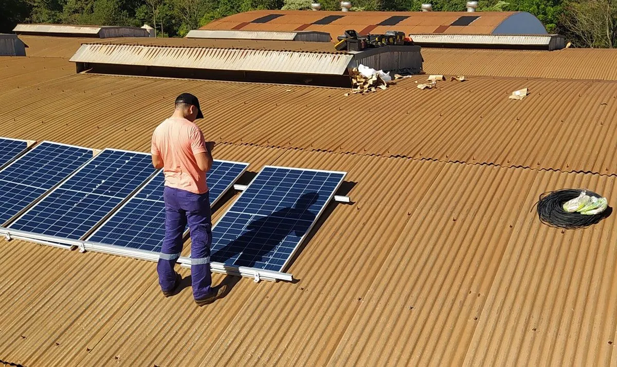 Destacan interés en paneles solares por ahorro y soberanía energética 9 Destacan interés en paneles solares por ahorro y soberanía energética imagen-8