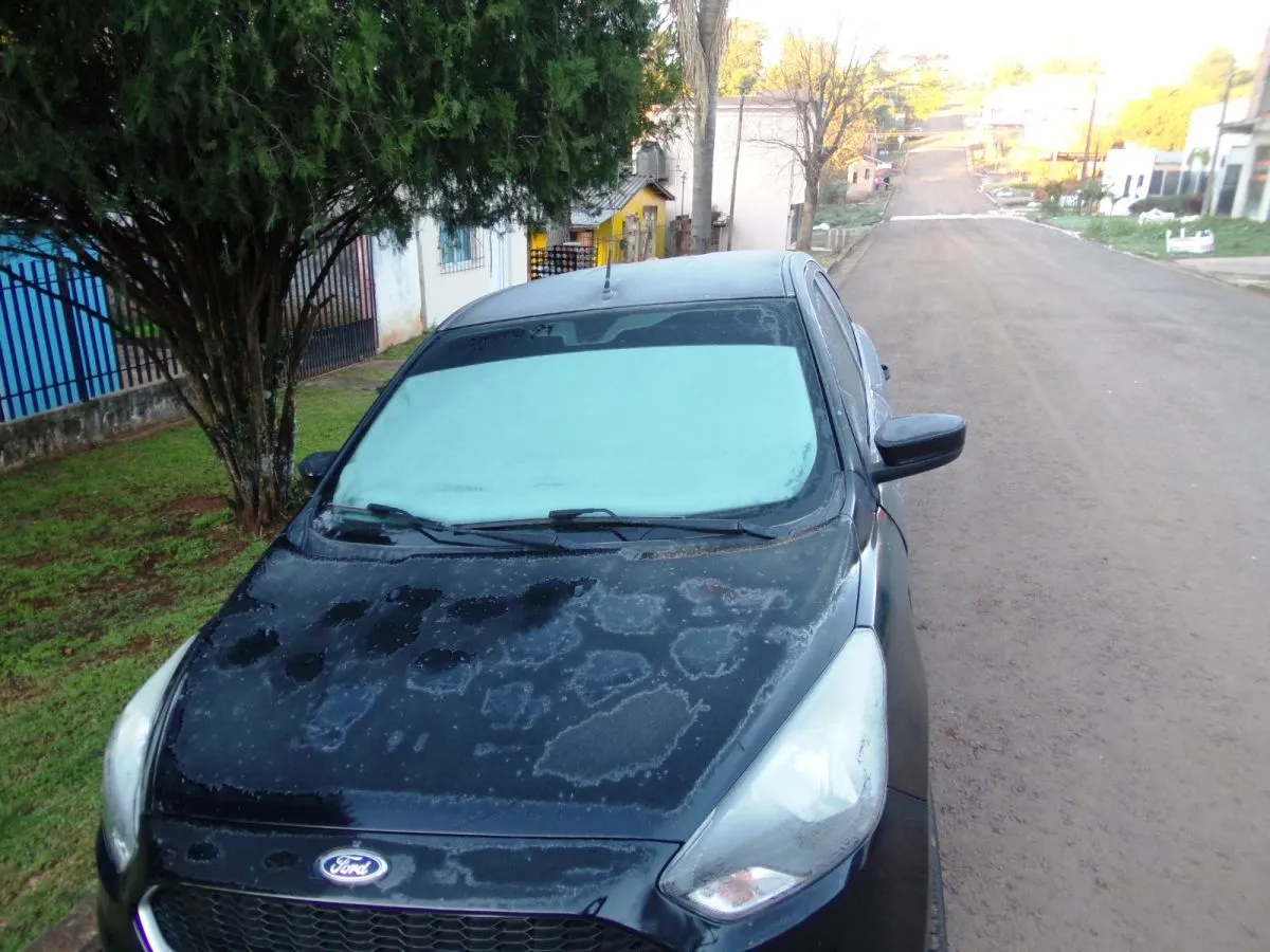 Misiones amaneció bajo cero: postales de las heladas que cubrieron la provincia imagen-18