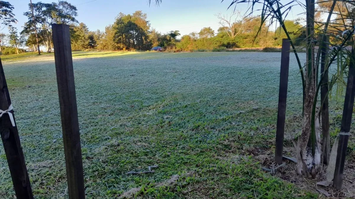 Misiones amaneció bajo cero: postales de las heladas que cubrieron la provincia imagen-22