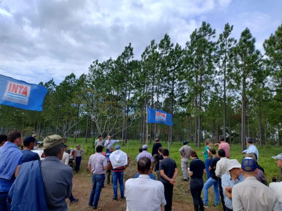 San Vicente implementó circuitos recreativos ambiental para las escuelas imagen-11