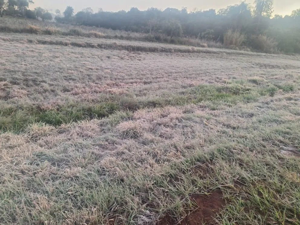 Posadas amaneció con -1 °C y sensación térmica polar: el día más frío del año en Misiones