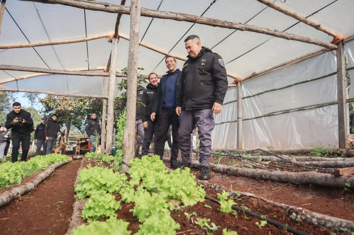 Autoabastecimiento carcelario: internos siembran y cosechan verduras en Loreto imagen-8