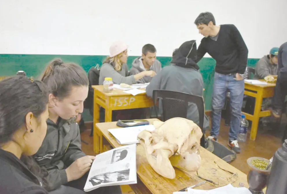 Los jóvenes eligen la carrera por su contacto con el ambiente. Foto: Carina Martínez