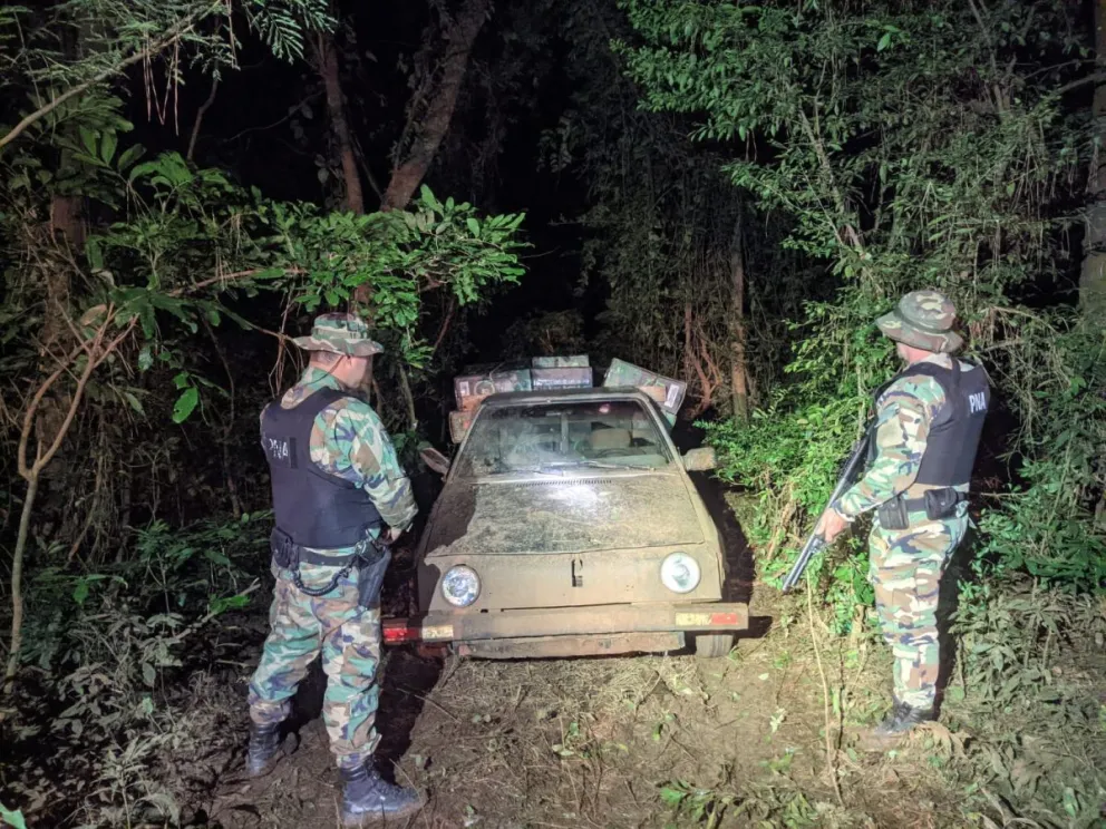 El operativo ocurrió en una zona ribereña de Puerto Rosario. //Fotos: PNA.