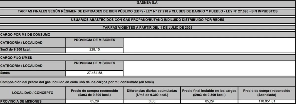 Conocé las nuevas tarifas de Gas Nea imagen-10