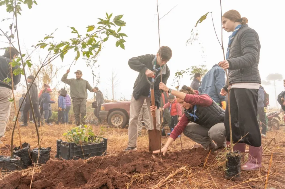 Plantaron mil especies nativas en una zona afectada por incendios y especies invasoras. //Foto: Prensa Hora de Obrar.