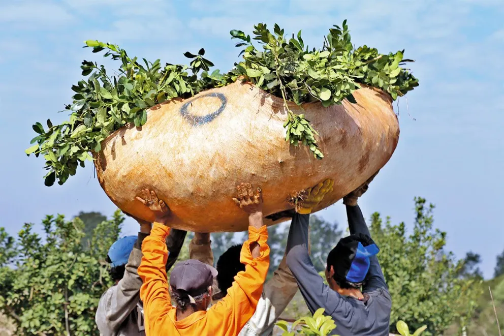 Castro afirma que está en riesgo la sostenibilidad del sector. //Foto: Natalia Guerrero.