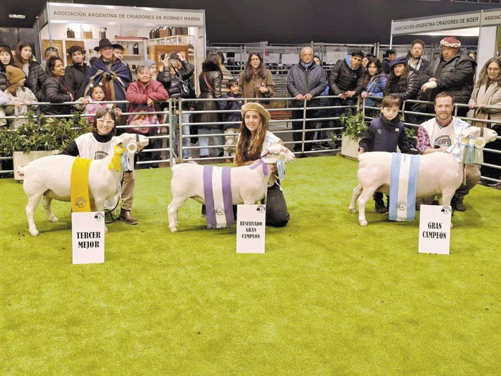 Cabaña La Armonía, junto a Unelén, consiguió premios en ovinos.  