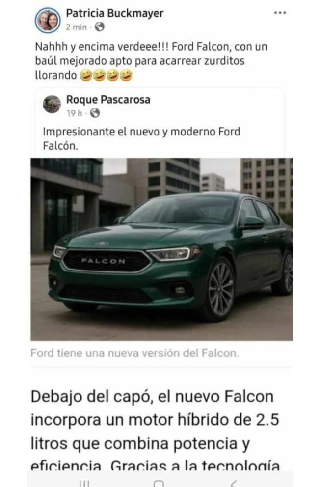 “Los principios democráticos deben estar en el aula y en las redes”: el CGE tras la suspensión a Buckmayer imagen-9