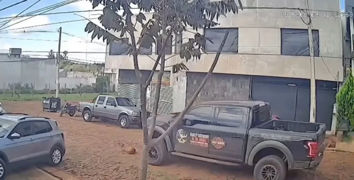 Video: la policía busca a un conductor que atropelló y mató a un perro en Posadas