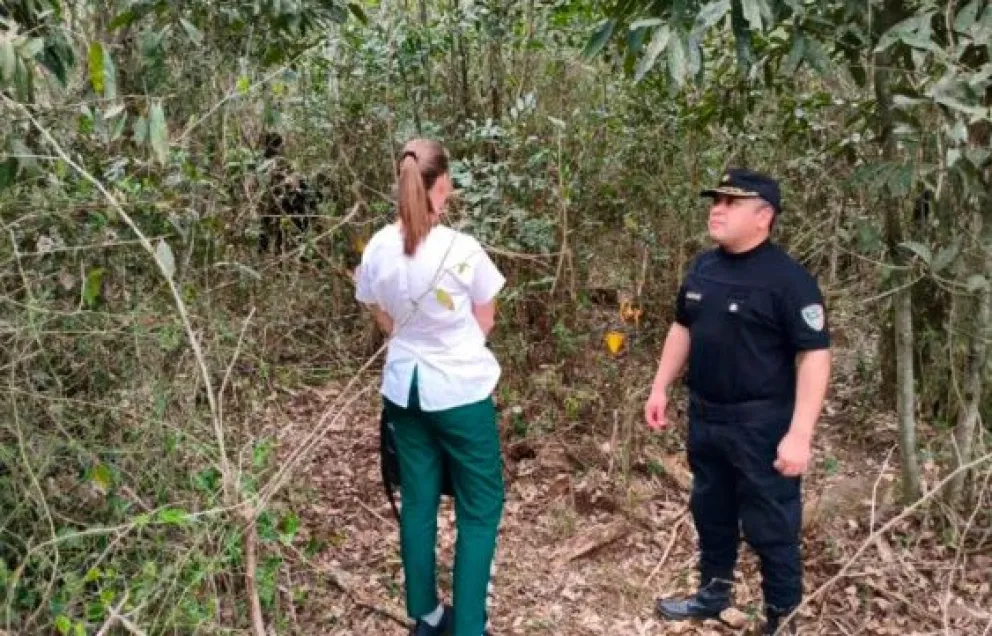 Los restos fueron encontrados a unos 12 kilómetros de la ruta 101. Foto: Polmis