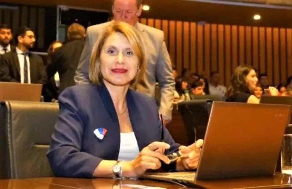 Suzel Vaider, diputada provincial y presidenta de la Comisión de Presupuesto de la Cámara de Representantes de Misiones.