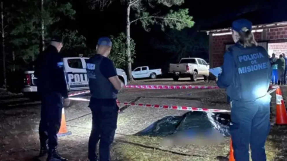 Sorpresa en Garupá: una yarará apareció dentro de una casa imagen-14