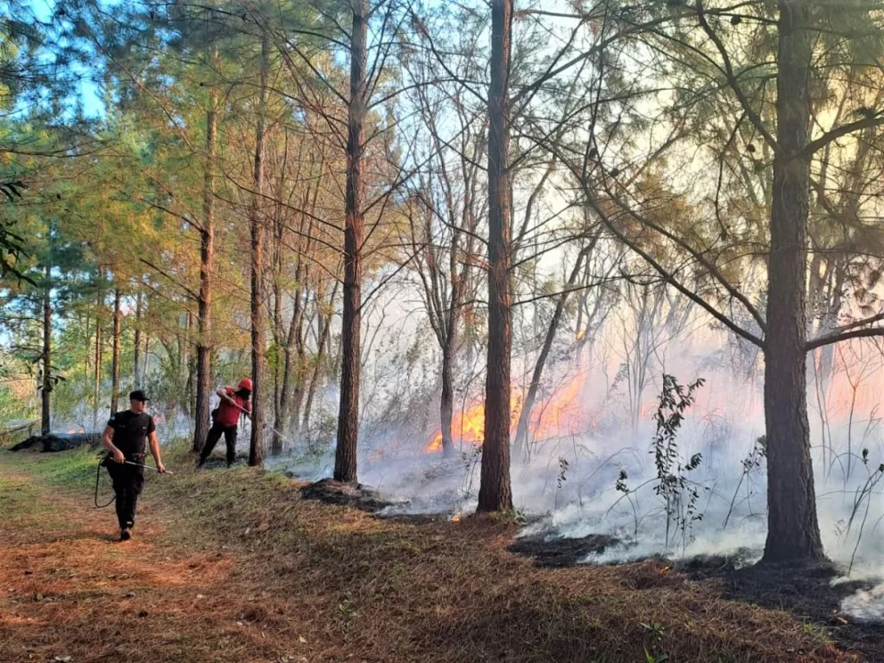 Los bomberos debieron actuar ante el avance de las llamas. //Foto: Policía de Misiones.