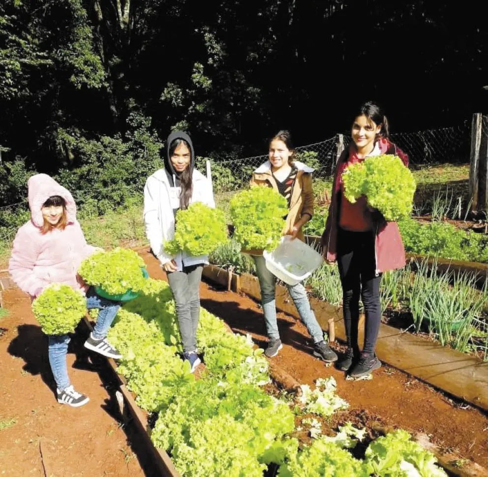 En las actividades de la huerta participan todos los grados. Foto: Carina Martínez