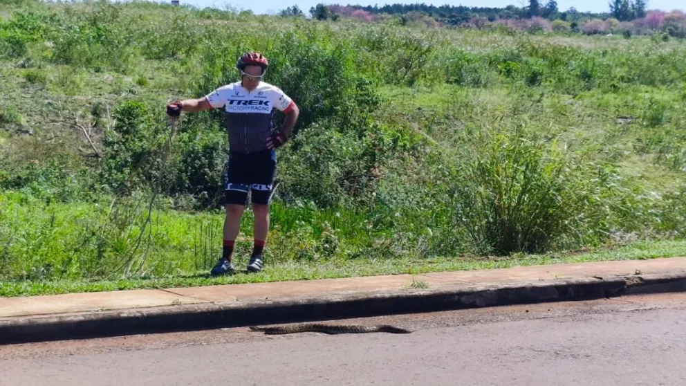 La serpiente de más de un metro captó todas las miradas en el Acceso Oeste. Fotos: Marcos Isaac
