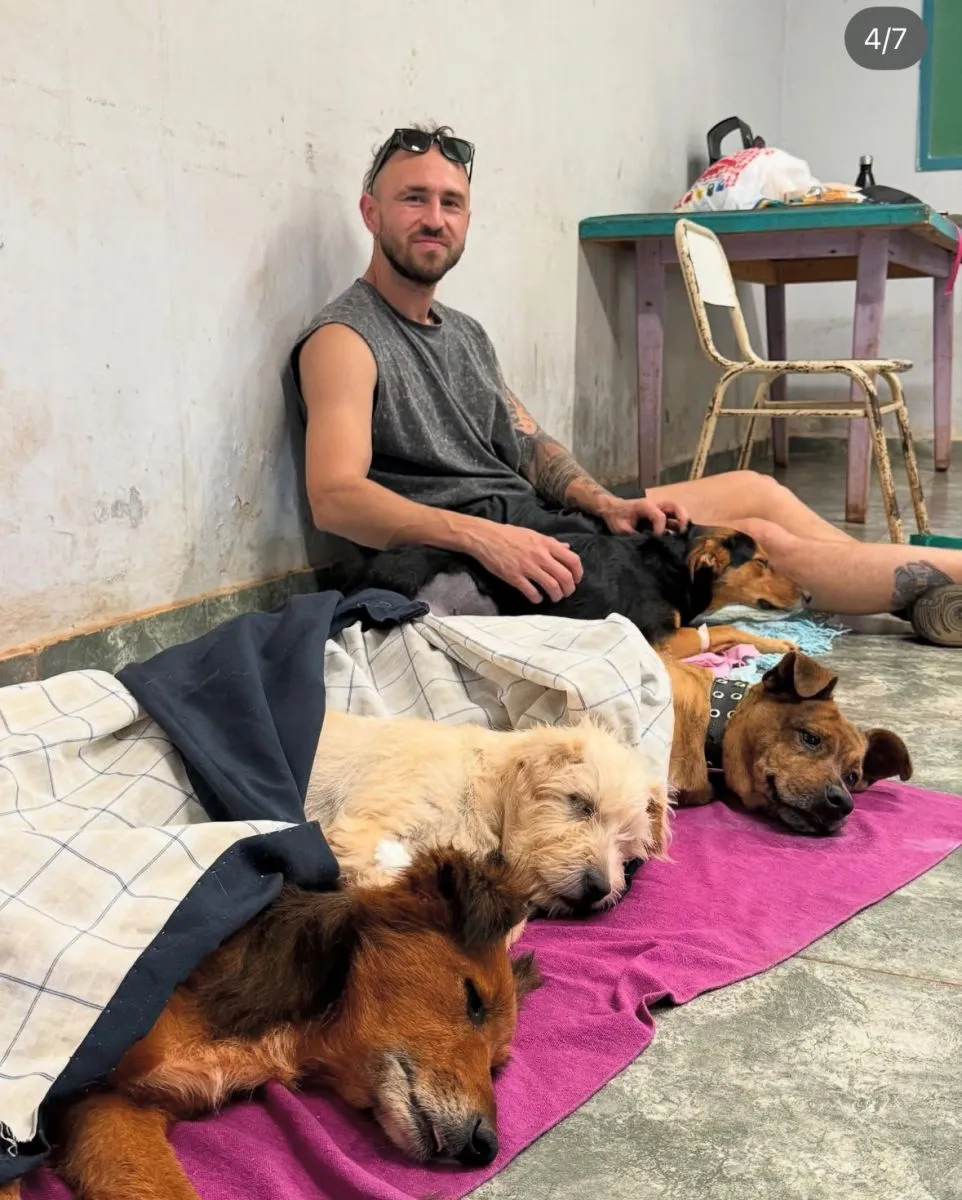 Con casi 700 castraciones, Tu mascota es familia refuerza su labor imagen-8