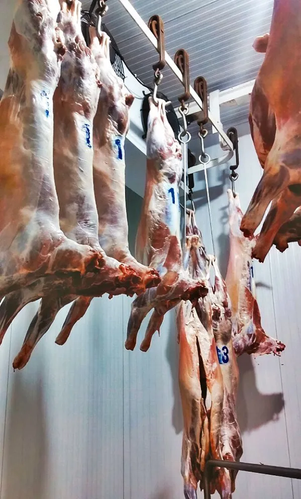 La baja capacidad de gastos hunde la demanda en bares y restaurantes imagen-7