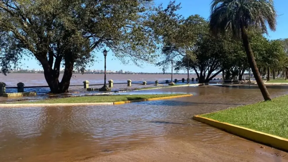 Foto: Mercedes Berón.