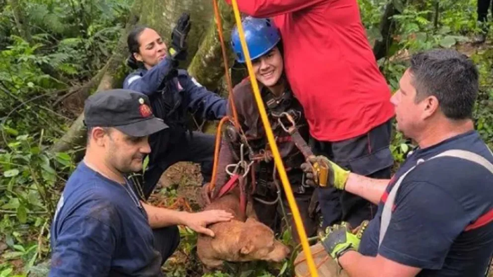 El joven terminó dentro del pozo al intentar rescatar a un perro. 