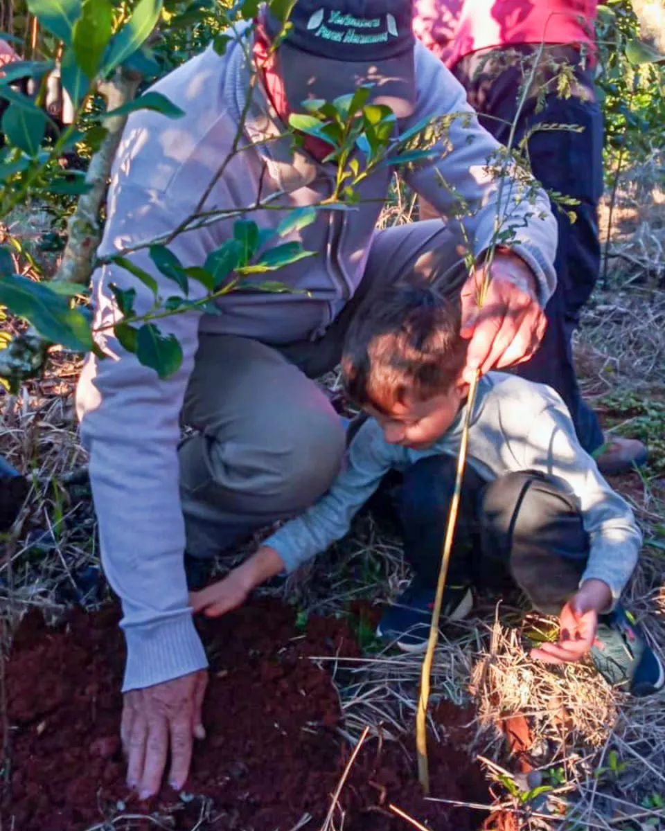 Más de 200 mil árboles para recuperar corredores de biodiversidad y preservar al yaguareté imagen-8