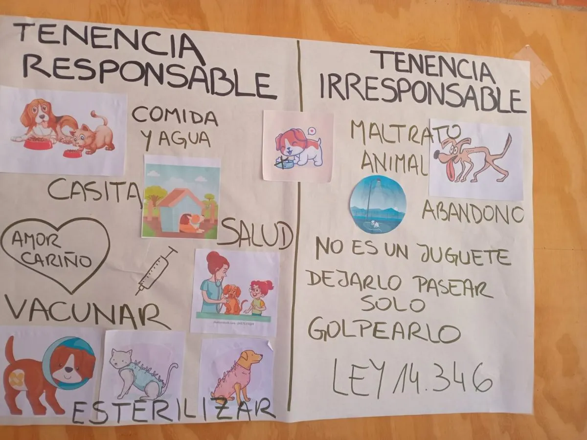 Educar desde la infancia para concientizar sobre la tenencia responsable de mascotas imagen-8