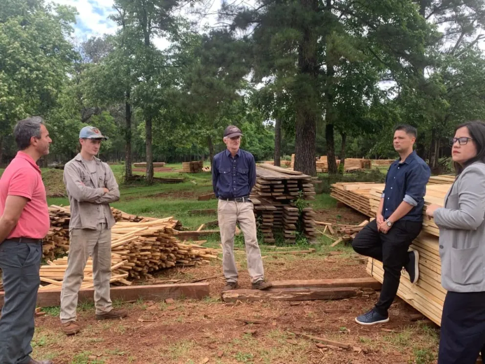 Niños, familias y profesionales participaron de un taller sobre prevención del grooming en Posadas 9 Niños, familias y profesionales participaron de un taller sobre prevención del grooming en Posadas imagen-8