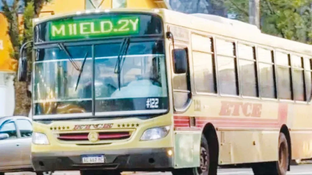 Fin de semana con lluvias y tormentas: se esperan mejoras recién a partir del lunes en Misiones 11 Fin de semana con lluvias y tormentas: se esperan mejoras recién a partir del lunes en Misiones imagen-10