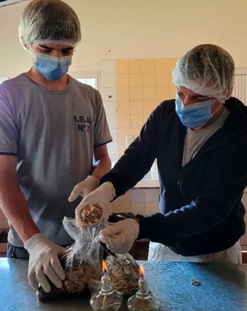 Arranca la semana con estabilidad en Misiones, las temperaturas alcanzarán los 30°C 13 Arranca la semana con estabilidad en Misiones, las temperaturas alcanzarán los 30°C imagen-12