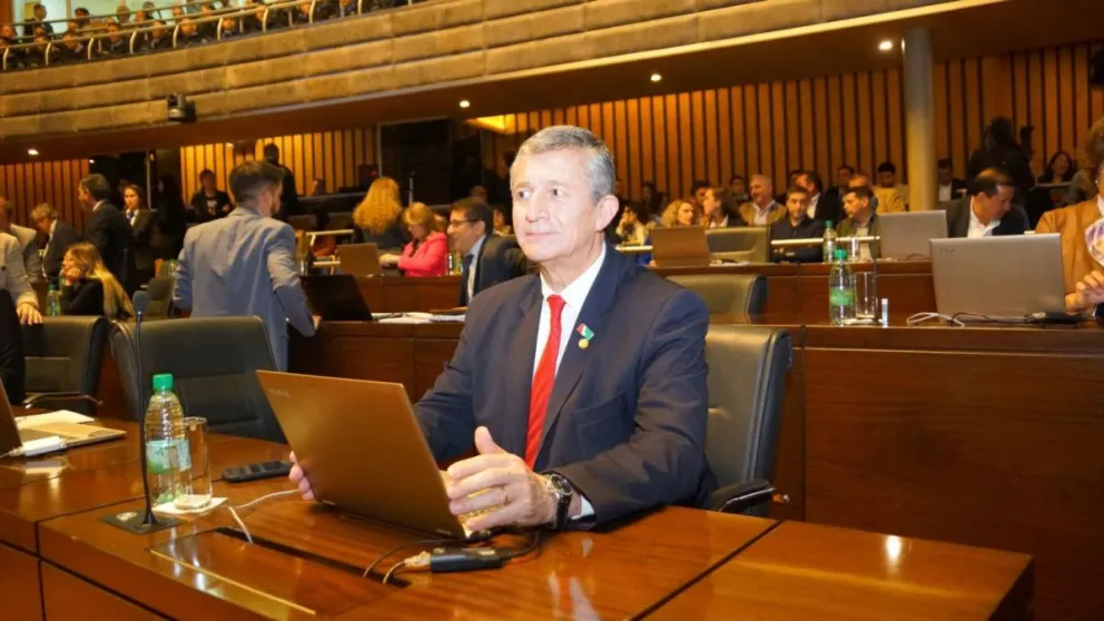 El autor del proyecto es el diputado Rafael Pereyra Pigerl. 