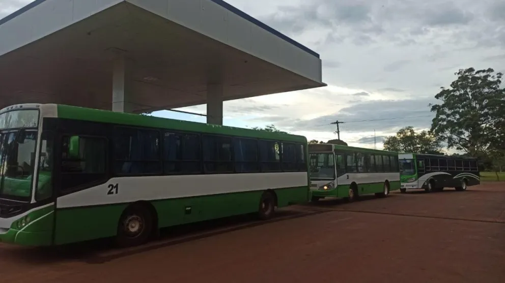 Los colectivos adquiridos por el municipio para brindar el servicio. //Foto: Graciela González.