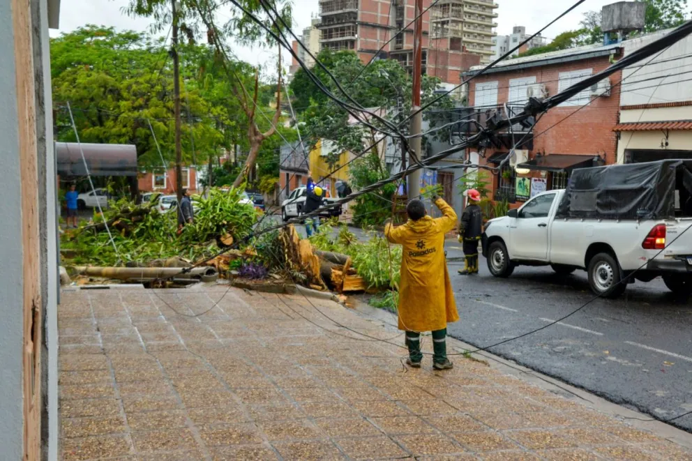 FOTO: Jorge Acosta