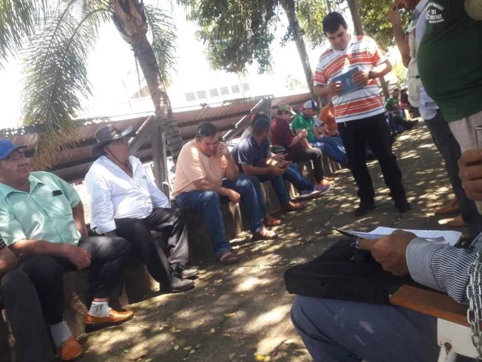 Productores piden ayuda a su gobierno para mejorar condiciones de venta de su yerba mate