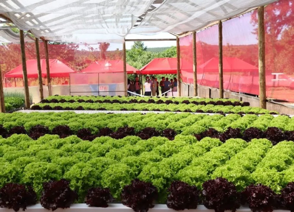 Eldorado inauguró el CITECH, un nuevo polo de innovación y desarrollo tecnológico para Misiones 7 Eldorado inauguró el CITECH, un nuevo polo de innovación y desarrollo tecnológico para Misiones imagen-6