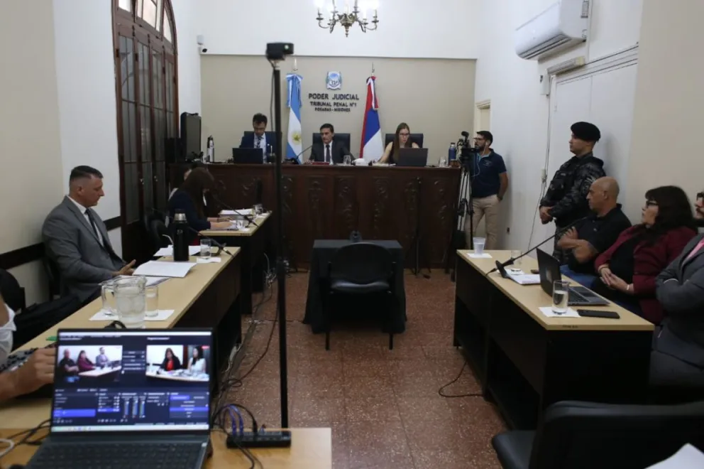 Lectura entre árboles: una década del programa que une naturaleza, comunidad y libros en Yabotí imagen-13