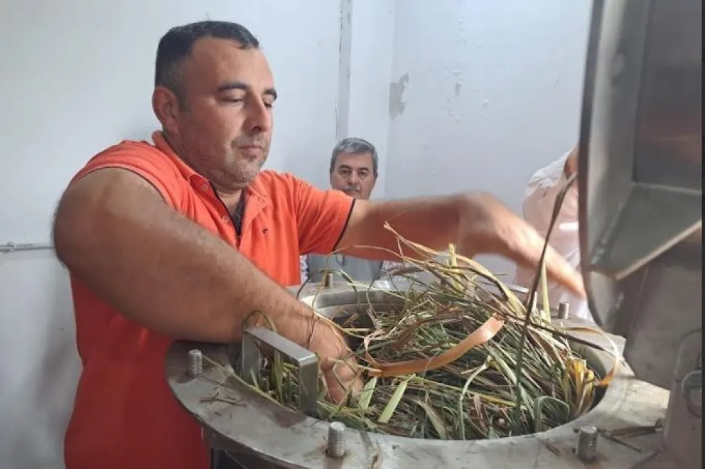 El Soberbio potencia su identidad productiva: acuerdo clave para elevar la calidad de los aceites esenciales 6 El Soberbio potencia su identidad productiva: acuerdo clave para elevar la calidad de los aceites esenciales imagen-5