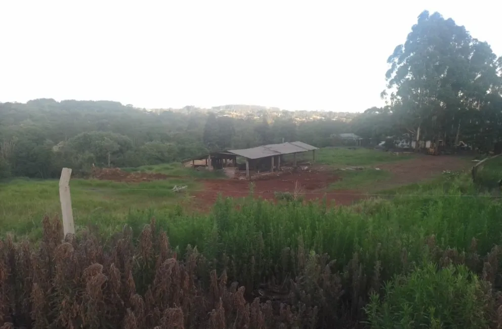 Presentaron en Misiones el nuevo proyecto de Código Penal nacional 11 Presentaron en Misiones el nuevo proyecto de Código Penal nacional imagen-10