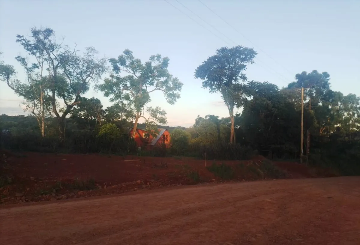 Sin agua y sin luz: desesperado pedido de una decena de familias que luchan por servicios básicos imagen-8