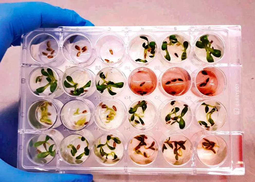 Presentaron en Misiones el nuevo proyecto de Código Penal nacional 15 Presentaron en Misiones el nuevo proyecto de Código Penal nacional imagen-14