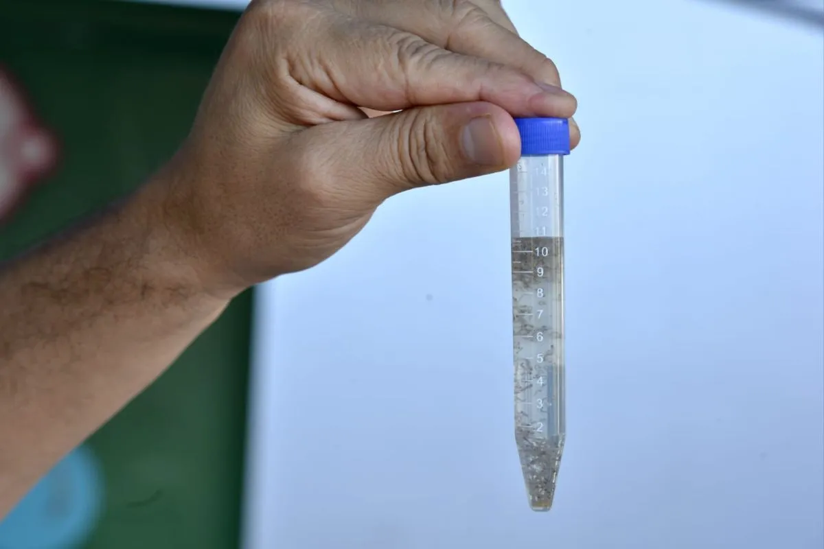 Comenzó una nueva edición del operativo Liraa en Posadas imagen-7