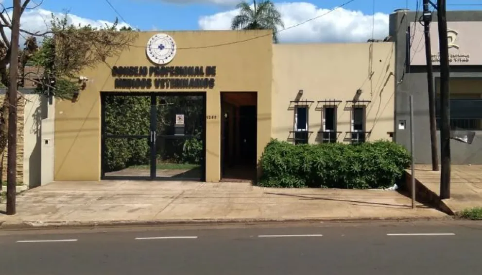 El Colegio de Veterinarios cuestiona la prohibición de criaderos y ventas de perros y gatos imagen-5