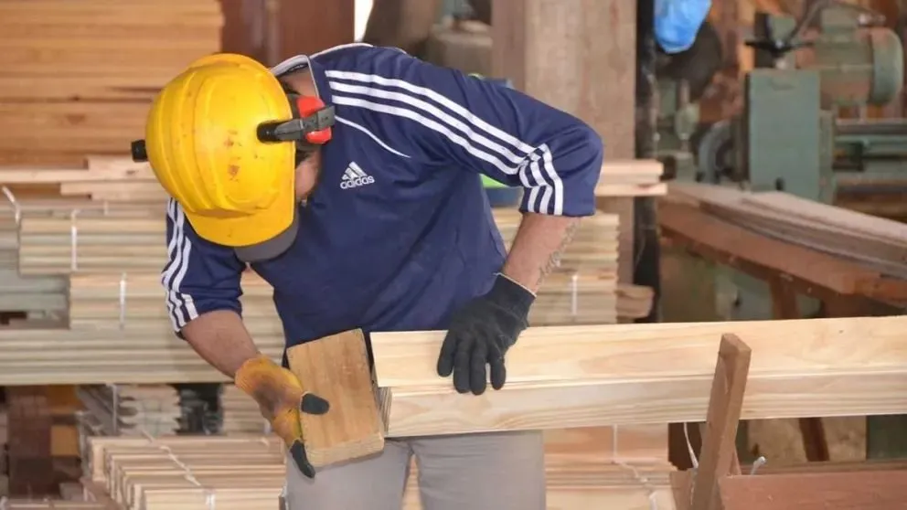 La forestoindustria de Misiones en su peor momento histórico, según Infopro imagen-6