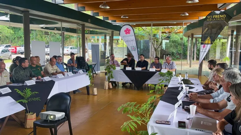 Misiones avanza en la creación del sistema más avanzado del país para controlar y proteger la fauna silvestre imagen-6