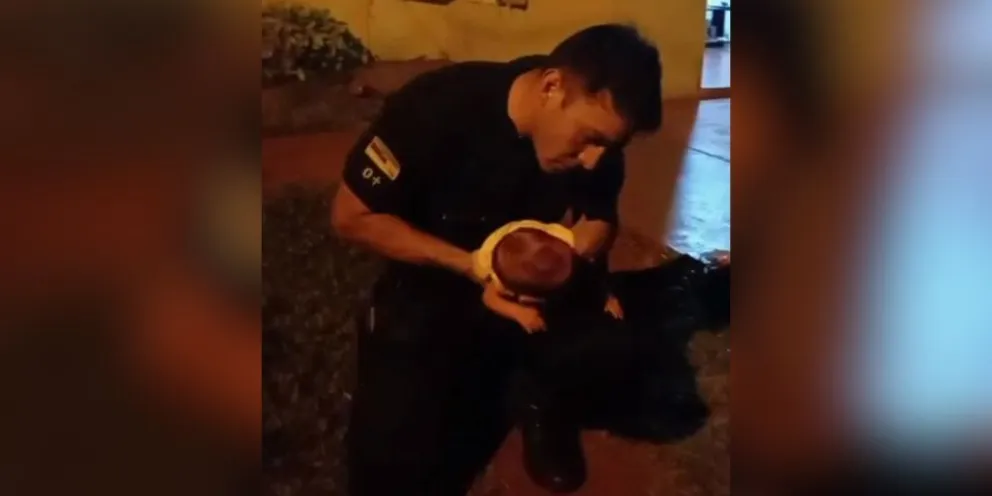 Foto: Policía de Misiones.