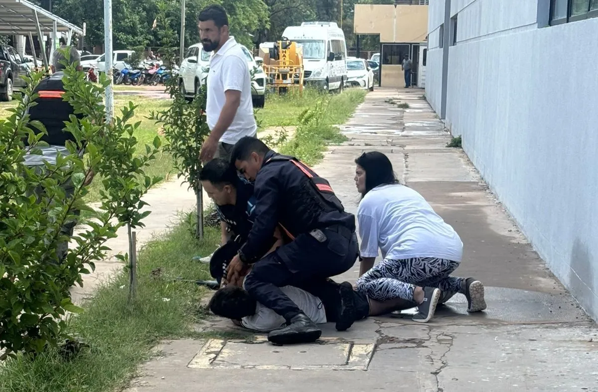 Una camioneta embistió a gendarmes, pero fue interceptada cuando trasladaba bloques de cementos rellenos de cocaína - Image 2